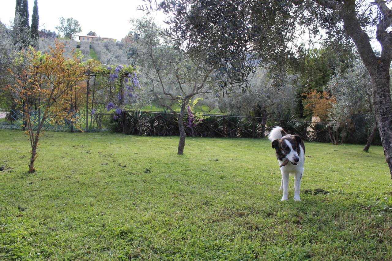 Agriturismo La Fonte Bevagna Exterior foto